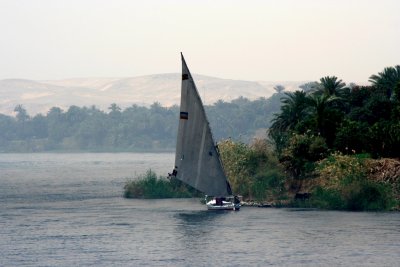 Felucca Boat on the Nile