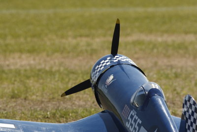 dpp_1303.JPG