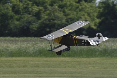 dpp_1310.JPG