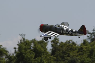dpp_1311.JPG