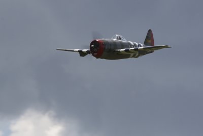 dpp_1313.JPG