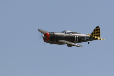 dpp_1330.JPG