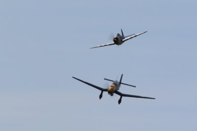 dpp_1333.JPG