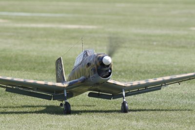 dpp_1334.JPG