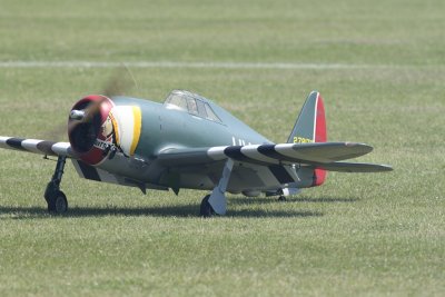 dpp_1335.JPG