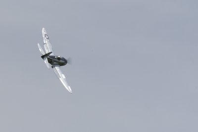 dpp_1336.JPG