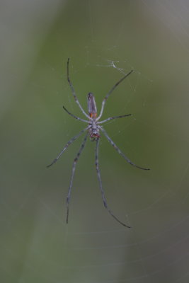 g3/84/950584/3/124162741.vCdXVPZO.jpg