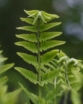 g3/84/950584/3/124258868.B0MQupaB.jpg