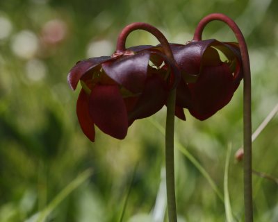 g3/84/950584/3/124258873.OIaslSc4.jpg