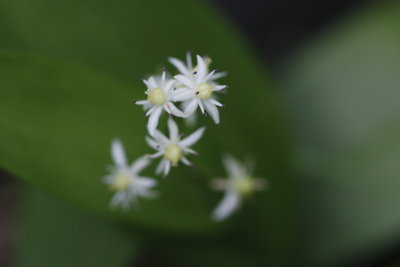 g3/84/950584/3/124258880.VXzAom6E.jpg