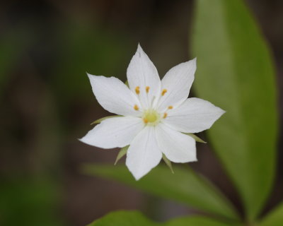 dpp_1522.JPG