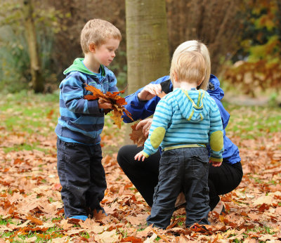 Leaf collecting in Autumn
