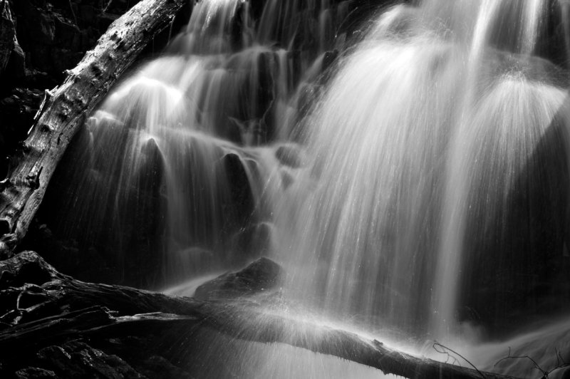 20080419-_MG_3163 - Version 2.jpg