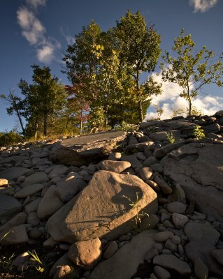 20080907-_MG_8899.jpg