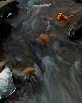 20071208-_MG_2980 - Version 2.jpg