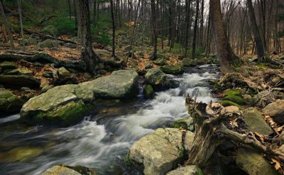 20080412-_MG_9463-65_pano8b.jpg