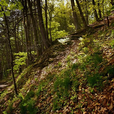 20080510-_MG_9275-80_pano8b.jpg