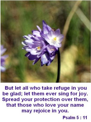 Psalm 5 : 11