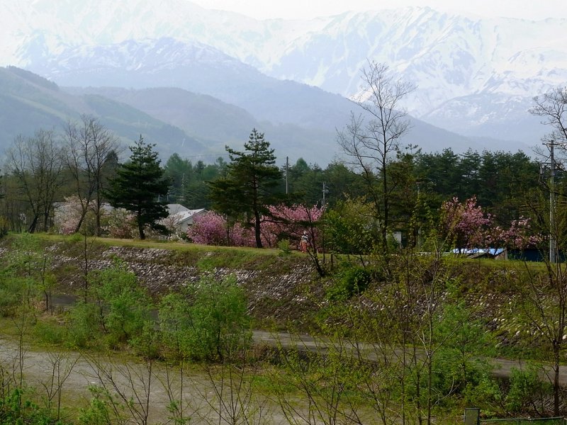 RIMG0127.jpg