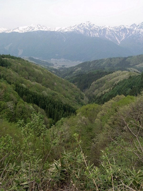 RIMG0318.jpg