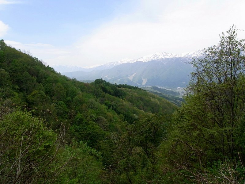 RIMG0324.jpg