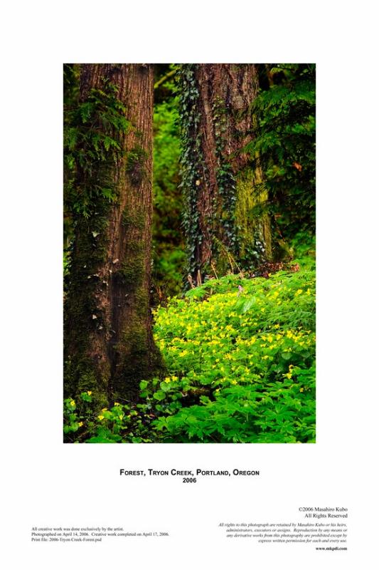 Forest