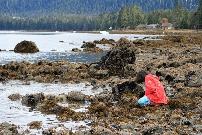 Examining marine biology