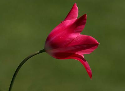 IMG_9281.jpg