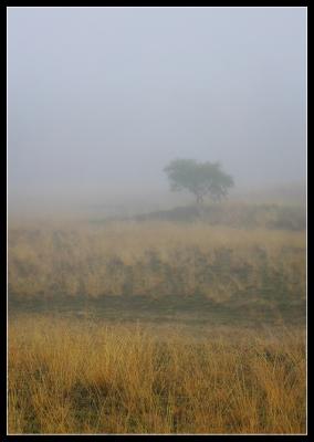 NF2P8302.jpg
