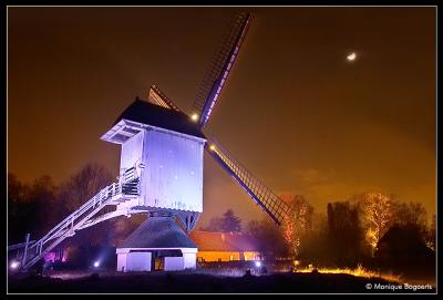 *** Bokrijk by Night ***