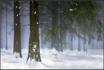 *** Winter in the Ardennes ***