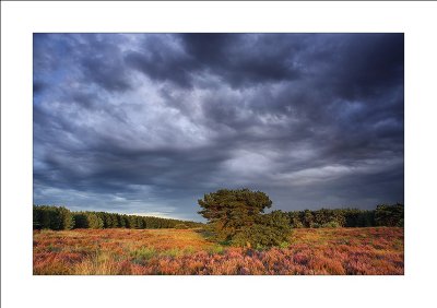 evening in september