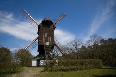 _MG_7862.jpg
