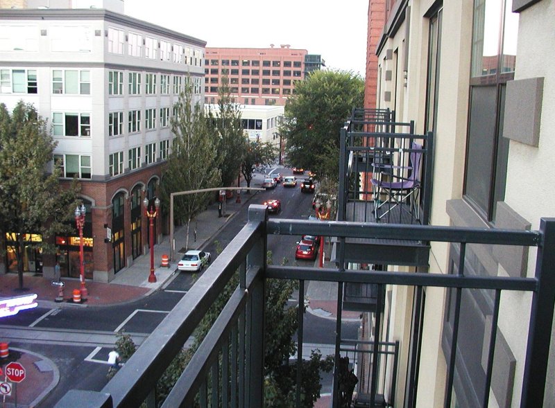 The View from Apt. 531 3