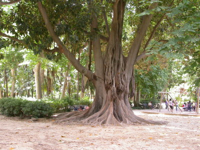 Parque Maria Luisa, Seville