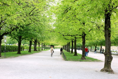 140V2170_resize.JPG