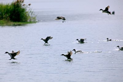 140V0577s.jpg