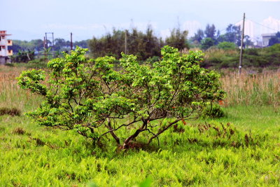 140V0415.JPG