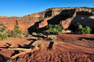 Canyonlands NP - Islands in the Sky