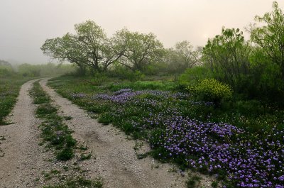 APR_0480 Atascosa County, Texas
