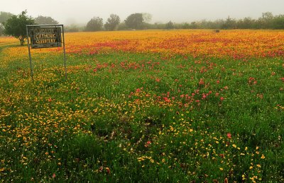 APR_0486 Atascosa County, Texas