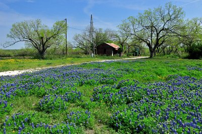 APR_0524 Karnes County, Texas