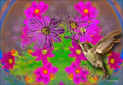 Colors Attract
