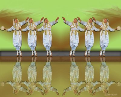 Dancer by Whistling Wings