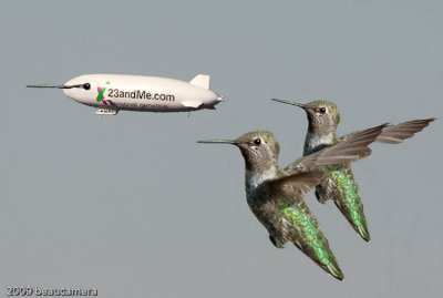 A Blimp to the Future