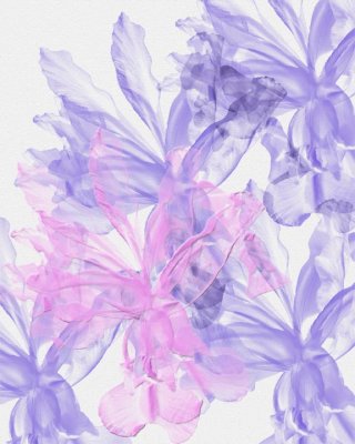 Spring Relief