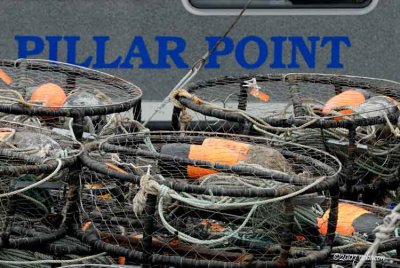 Pillar Point