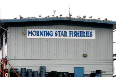 Morning Star Fisheries