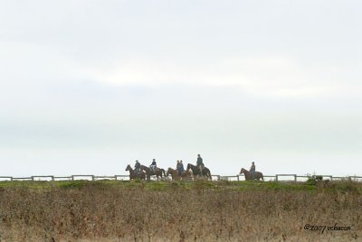 111807_7_750.jpg