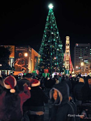 The Giant Christmas Tree